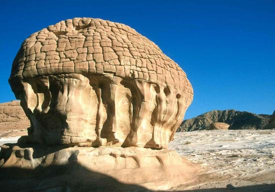 Arada valley (White canyon - Sinaï - Egypte)