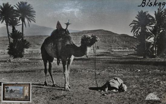 Photo ancienne de Biskra (Algérie)