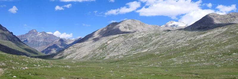 Sur l'alpage de Nivolet (vue sur la Grivola et le Grand Paradis)