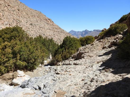 Au creux du thalweg entre le puits et le belvédère