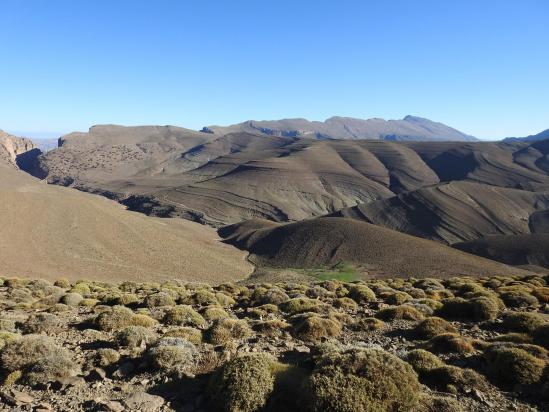 Au sommet du mamelon à 2730m (entrée des gorges de taghia et djbel Timghazine)