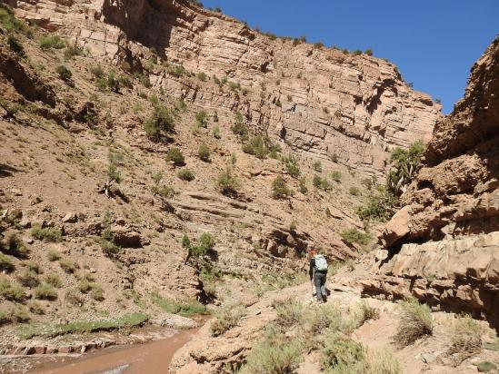 Remontée des gorges du M'Goun en direction d'Imi Nirkt