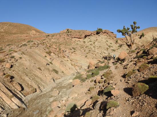 Le chemin s'éloigne du lit de l'asif Oulilimt en traversant un plateau