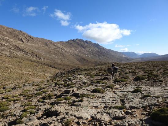 Vue vers l'E du plateau de Tarkeddit avec à gauche l'Irhil Tarkeddit et au fond le Ouaougoulzat