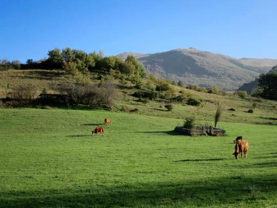 Au départ de Bezaudun (Grand-Delmas)