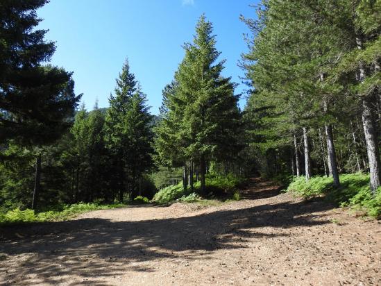 Sur les pistes forestières de la vallée de la Drobie