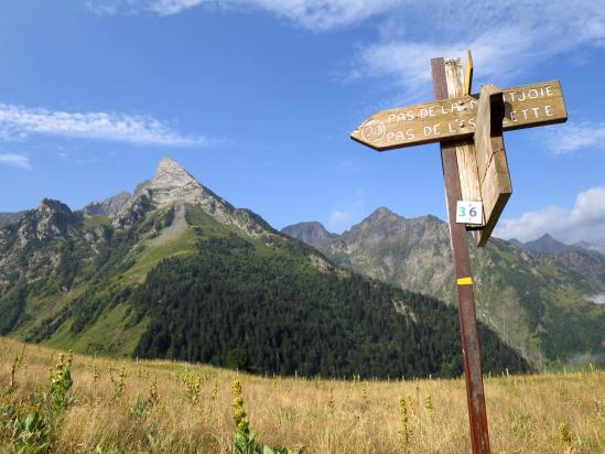 Sur l'alpage de Roumingou