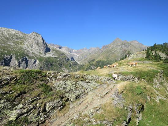 Le col à l'entrée du cirque d'Espingo