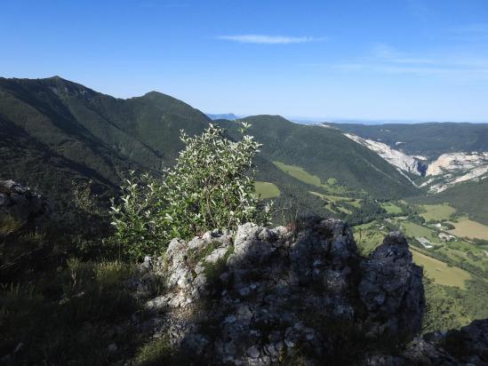 Premier belvédère sur le Bec Pointu, Courcousson et l'entrée des gorges d'Omblèze