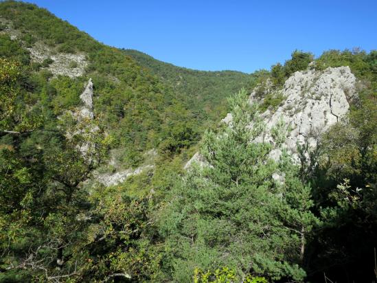 A l'approche des Colins, le vallon du ruisseau de Guerre