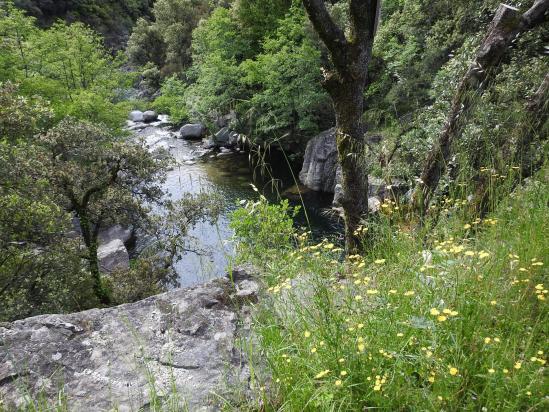 Traversée du ruisseau de Thines sur le pont de Gournier