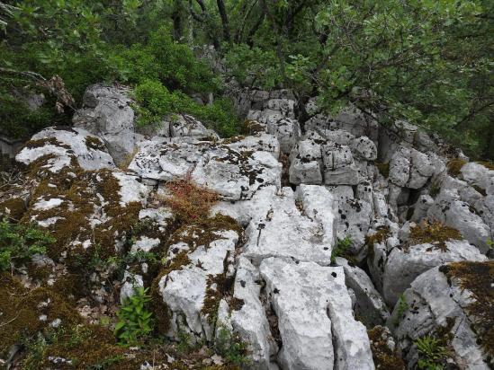 Au milieu du lapiaz du serre de la Ramade