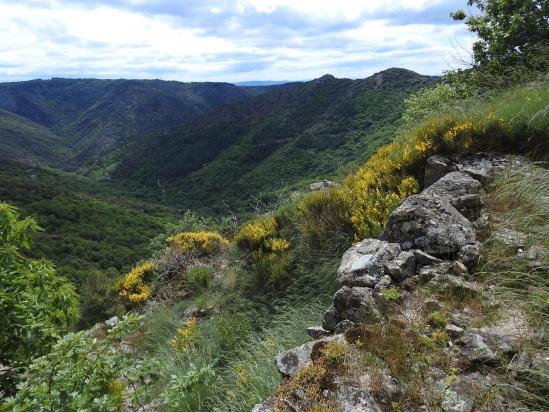 Sur le sentier caladé à l'approche de la ferme de l'Espinas