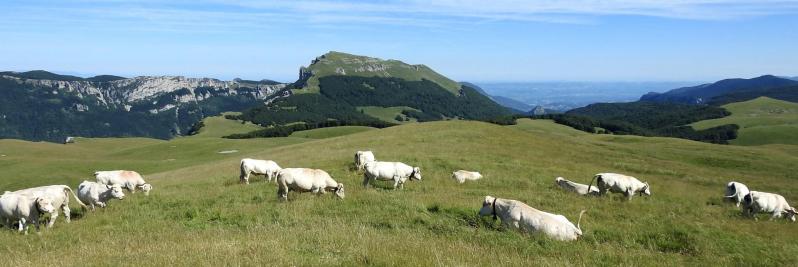 Sur le plateau d'Ambel au-dessus de la bergerie des Sarnats