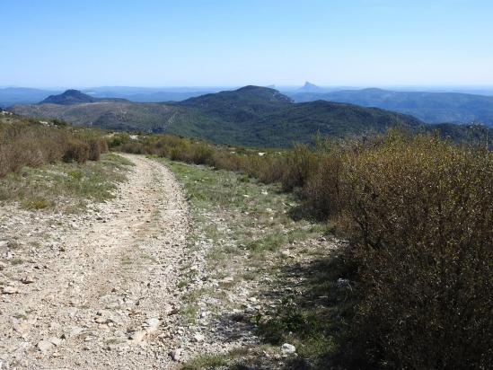 Sur la piste entre le Pioch de Roquebrune et le hameau des Lavagnes (au fond, le Pic Saint-Loup)