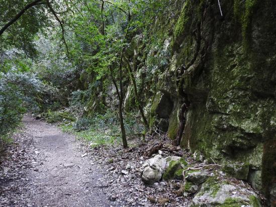 Remontée du ravin de Sainte-Maxime