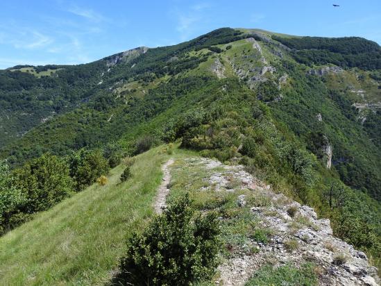 Du côté du col de Pierre Rouge (vue arrière sur la Tête de la Dame)