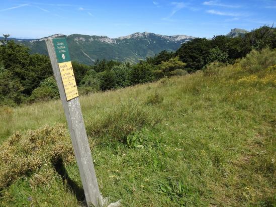 Au col des Teulières (en arrière-plan, les rochers de la Sausse)