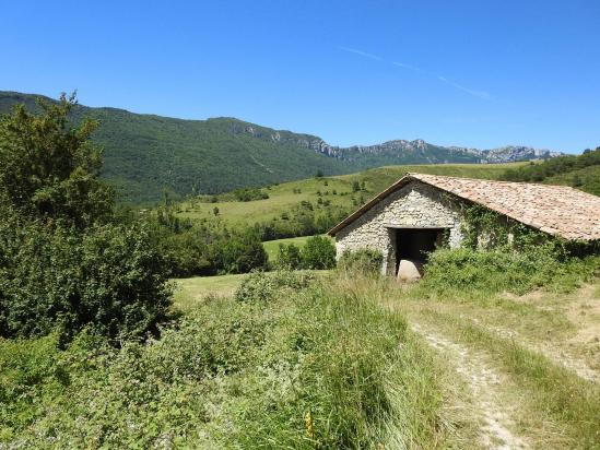 Retour vers les Arbods (on n'a jamais été aussi près...!)