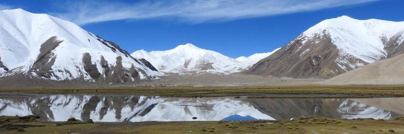 Le lac de Chibra (Changthang - Ladakh - Inde)