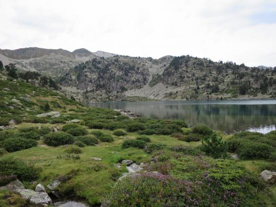 Au bord de l'Estany de Garrabea