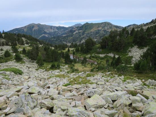 Remontée hors sentier du vallon d'Arreu