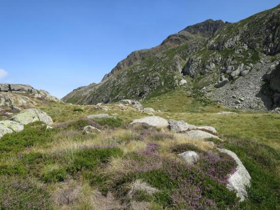 Les orris de Legunes d'en haut (au fond, pointe de Montestaure au pied de laquelle passe le chemin du refuge de l'étang du Pinet)